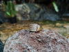 SJ2146 - White Sapphire Ring Set in 18 Karat Gold Settings