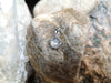 SJ6204 - Diamond Pendant Set in 18 Karat White Gold Settings