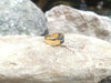 SJ6039 - Blue Sapphire Ring Set in 18 Karat Gold Settings