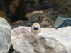 SJ2306 - Blue Sapphire with Diamond Ring Set in 18 Karat Gold Settings