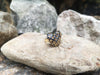 SJ2246 - Blue Sapphire Heart Ring Set in 18 Karat Gold Settings