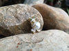 SJ2038 - South Sea Pearl with Cabochon Emerald and Diamond Frog Brooch Set in 18K Gold