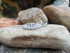 SJ6141 - Diamond Brooch/Pendant Set in 18 Karat White Gold Settings