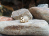 SJ2206 - Diamond with Black Diamond Pig Brooch/Pendant Set in 18 Karat Gold Settings