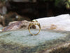 SJ1726 - GIA Certified 8 cts Chrysoberyl Cat's Eye with Diamond Ring Set in 18 Karat Gold