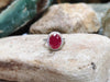 SJ6216 - Ruby with Diamond Ring Set in 18 Karat White Gold Setting