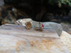 SJ1687 - Cabochon Ruby with Diamond Earrings Set in 18 Karat Gold Settings
