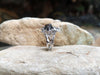 SJ1890 - Meteorite with Diamond Ring Set in 18 Karat White Gold Settings