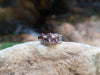 SJ6209 - Multi-Colors Sapphire Ring Set in 18 Karat Rose Gold Settings