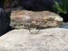 SJ1379 - Ruby with Diamond Ring Set in 18 Karat Gold Settings