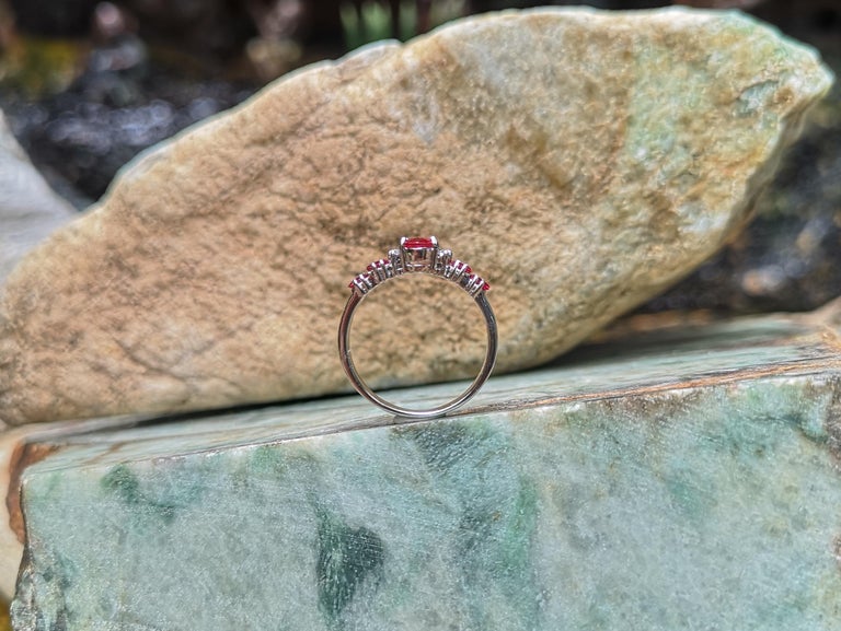 SJ1953 - Ruby with Diamond Ring Set in 18 Karat White Gold Settings
