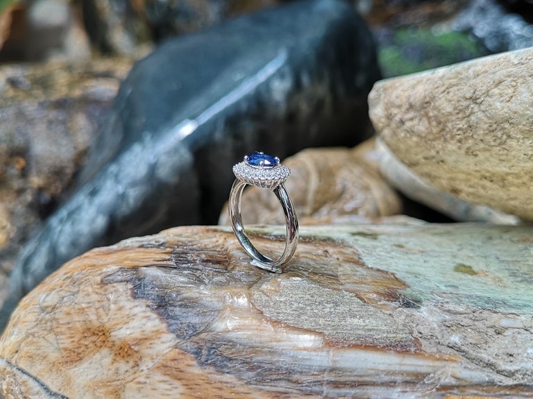 SJ1952 - Blue Sapphire with Diamond Ring Set in 18 Karat White Gold Settings