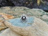 SJ1712 - Tahitian South Sea Pearl with Diamond Ring Set in 18 Karat White Gold Settings