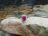 SJ6186 - Ruby with Diamond Ring Set in 18 Karat White Gold Setting