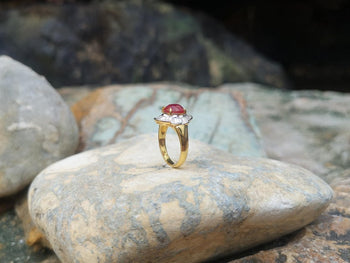 SJ1948 - Ruby with Diamond Ring Set in 18 Karat Gold Settings