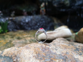 SJ1512 - Ruby with Diamond Ring Set in 18 Karat White Gold Setting