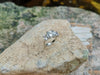 SJ1426 - White Topaz Ring Set in 18 Karat White Gold Settings