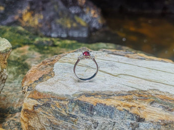 SJ1437 - Ruby with Diamond Ring Set in 18 Karat White Gold Settings