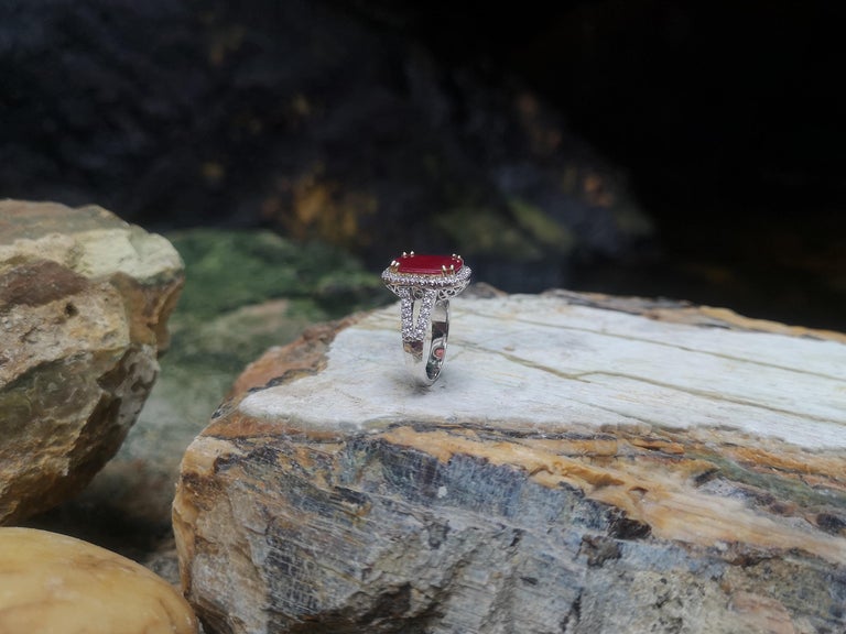 SJ1554 - Ruby with Diamond Ring Set in 18 Karat White Gold Settings
