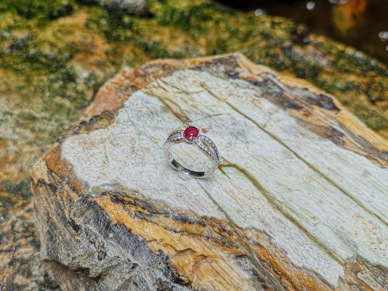 SJ6154 - Ruby with Diamond Ring Set in 18 Karat White Gold Settings