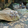 SJ6125 - Fresh Water Pearl with Amethyst Earrings Set in 18 Karat White Gold Settings