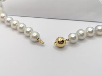 DGJC157 - South Sea Pearl with 18 Karat Gold Clasp