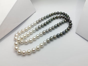 SJ1390 - Gradutated Color South Sea Pearl Necklace with Hidden 18K White Gold Clasp