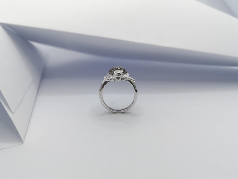 SJ1335 - Brown Diamond with Diamond Ring Set in 18 Karat White Gold Settings