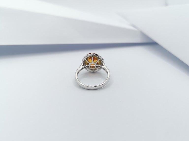 JR0420U - Orange Sapphire & Diamond Ring set in 18 Karat White Gold Settings