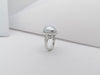 JR0365R - South Sea Pearl & Diamond Ring Set in 18 Karat White Gold Settings