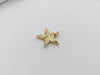 SJ1346 - Diamond Star Pendant Set in 18 Karat Gold Settings