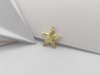 SJ1346 - Diamond Star Pendant Set in 18 Karat Gold Settings