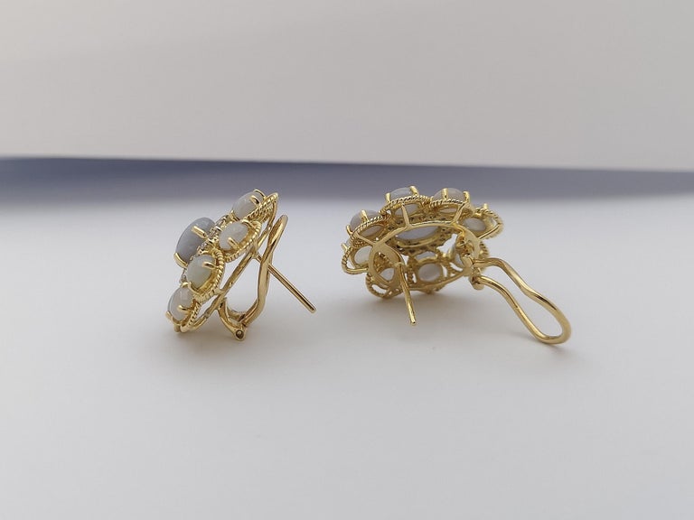 SJ1406 - Blue Star Sapphire with Brown Diamond Earrings Set in 18 Karat Gold Settings