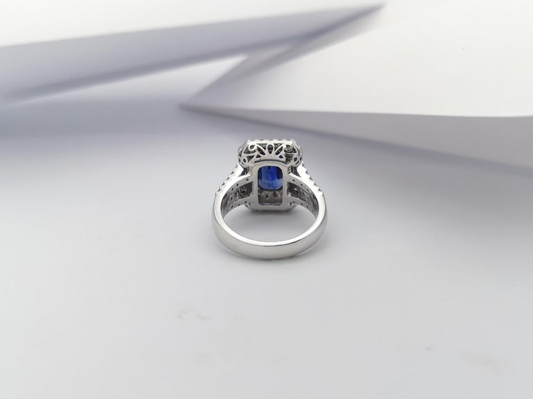 SJ1229 - GIA Certified 3 Cts Blue Sapphire with Diamond Ring Set in 18 Karat White Gold