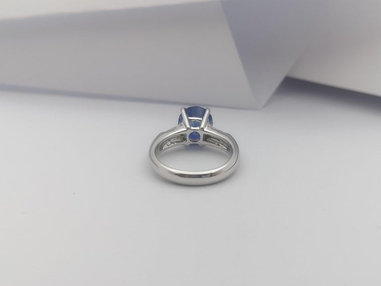 SJ1231 - GIA Certified 3 Cts Blue Sapphire with Diamond Ring Set in 18 Karat White Gold