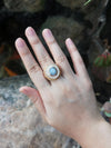 SJ1275 - Blue Star Sapphire with Diamond Ring Set in 18 Karat Rose Gold Settings