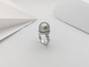 SJ2773 - South Sea Pearl with Diamond Ring Set in 18 Karat White Gold Settings