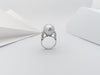 JR1897Y - South Sea Pearl & Diamond Ring Set in 18 Karat White Gold Setting