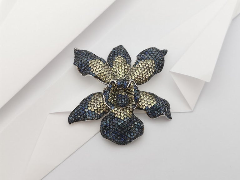 SJ6042 - Blue Sapphire with Brown Sapphire Orchid Brooch/Pendant set in Silver Settings