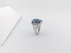 SJ3132 - Blue Star Sapphire with Blue Sapphire Ring Set in 18 Karat White Gold Settings