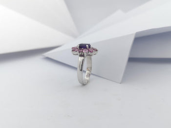 SJ3024 - Amethyst with Pink Sapphire Ring set in Silver Settings