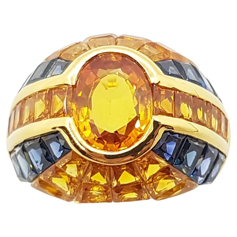 SJ1169 - Yellow Sapphire with Blue Sapphire Ring Set in 18 Karat Gold Settings